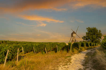 Windmill of La Tranchee and vineyard near Montsoreau, Pays de la Loire, Franceの写真素材