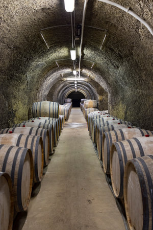 Wine cellars with barrels, traditional wine called Bikaver near Eger, Hungaryの写真素材