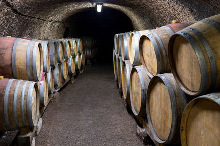 Wine cellars with barrels, traditional wine called Bikaver near Eger, Hungary