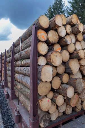 Transport of timber on railway wagons