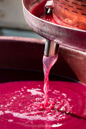 making of red wine  by winepress