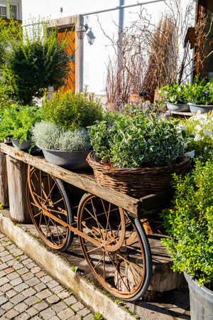 Cortina d'Ampezzo, Province Belluno, South Tyrol, Italyの写真素材