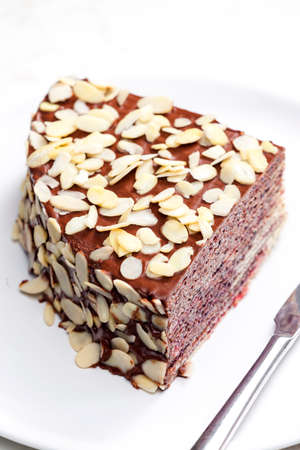 buiscuit cake with dark chocolate decorated with almonds