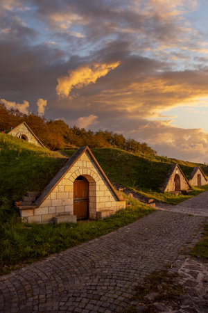 Autumnal Gombos-hegyi pincesor in Hercegkut, Great Plain, North Hungary