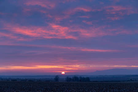 Sunrise in vineyards under Palava, Southern Moravia, Czech Republicの写真素材