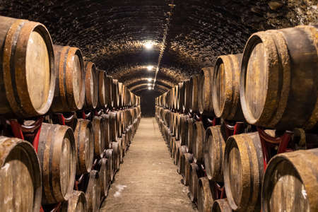 wine cellars with barrels near Eger, Hungary