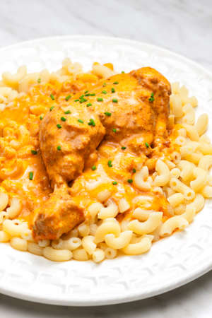 chicken leg with paprika creamy sauce with pastaの写真素材