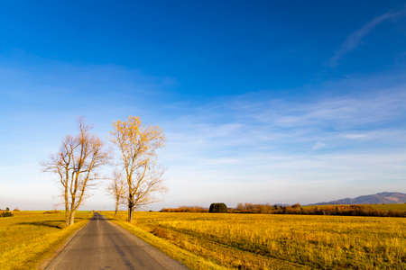 way under high Tatras in Slovakiaの写真素材
