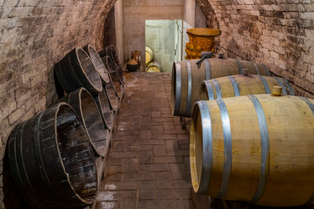 Wooden oak barrels in a winery nearby Batorove Kosihy, Slovakia