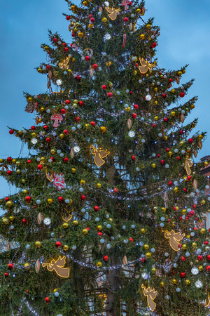 Christmas tree on Old Town Square in Prague, Czech Republicの写真素材