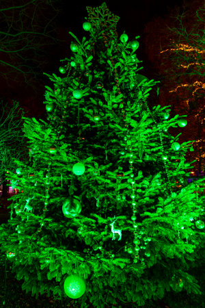 Christmas tree in Vienna, Austriaの写真素材