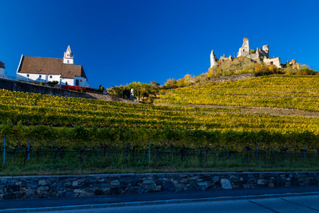 Ruins of Senftenberg, Krems-Land District, Lower Austria, Austriaのeditorial素材