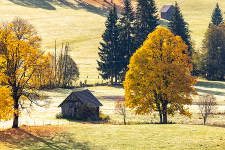 autumn landscape of Dachstein region, Austriaのeditorial素材