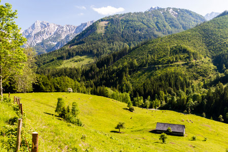 National Park Kalkalpen in Austria