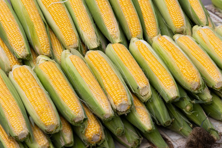 corn on the street market in Eger, Hungary