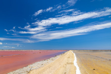 Salin de Giraud in Camargue region, Provence, Franceの写真素材