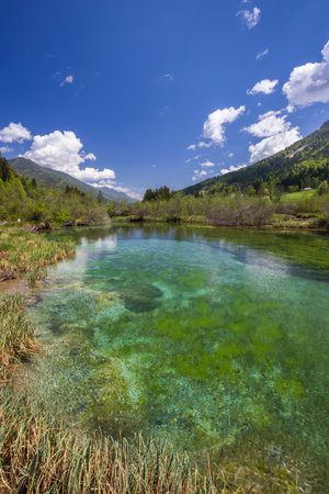 Spring landscape in Zelenci, Sloveniaの写真素材