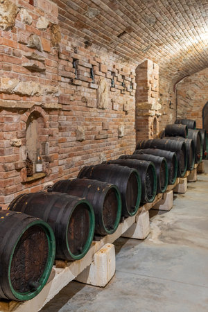 Wine cellars with barrels in Rakvice, Southern Moravia, Czech Republic
