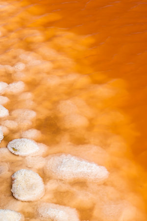 Salin de Giraud in Camargue region, Provence, Franceの写真素材