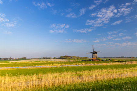 windmill in Noord Holland, Netherlandsの写真素材