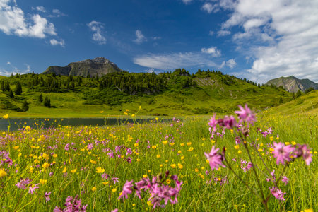 Landscapes near Kalbelesee, Hochtann Mountain Pass, Warth, Vorarlberg, Austriaの写真素材