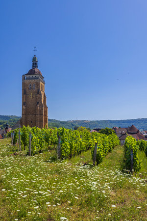 Vineyards with Arbois church, Department Jura, Franche-Comte, Franceの写真素材