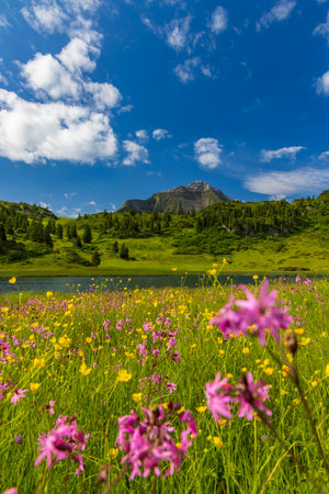 Landscapes near Kalbelesee, Hochtann Mountain Pass, Warth, Vorarlberg, Austriaの写真素材