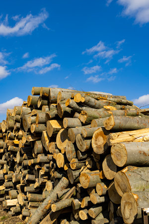 wooden logs on the open air