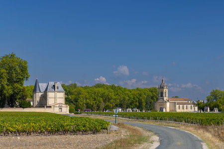Vineyards near Margaux (Chateau Margaux), Bordeaux, Aquitaine, Franceの写真素材