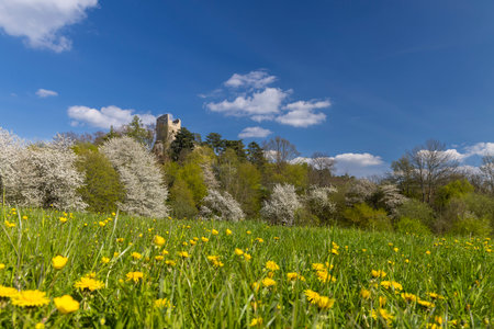 Valecov castle ruins, Middle Bohemia, Czech Republicの写真素材