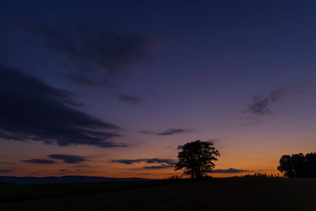 Landscape in a nature reserve Broumovske steny, eastern Bohemia, Czech Republicの写真素材