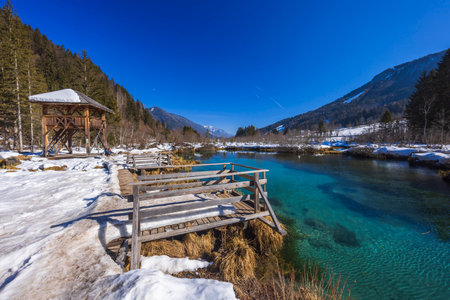 winter landscape in Zelenci, Sloveniaのeditorial素材