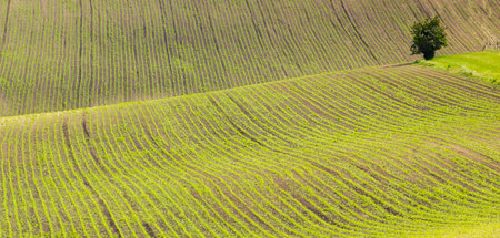 landscape of Moravian Tuscany, Czech Republic