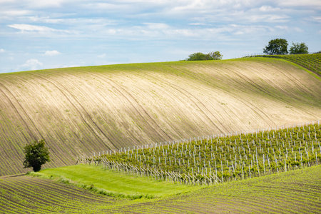 landscape of Moravian Tuscany, Czech Republicの写真素材