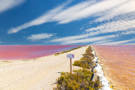 Salin de Giraud in Camargue region, Provence, Franceの写真素材