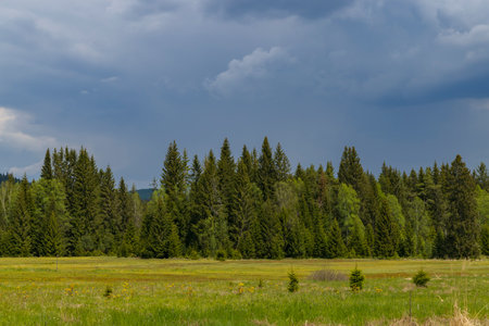 Typical spring landscape near Stozec, Sumava, Czech Republic