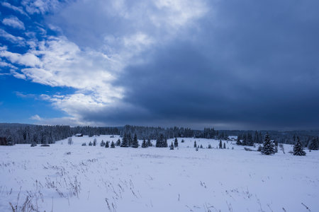 Typical winter landscape near Modrava, Nation park Sumava, Czech Republicの写真素材