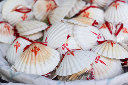the symbol of the Way of St. James, the shell of St. Jacobの写真素材