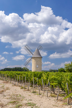 Vineyards with Lamarque windmill, Haut-Medoc, Bordeaux, Aquitaine, Franceの写真素材