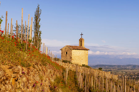 Grand cru vineyard and Chapel of Saint Christopher, Tain l'Hermitage, Rhone-Alpes, Franceの写真素材