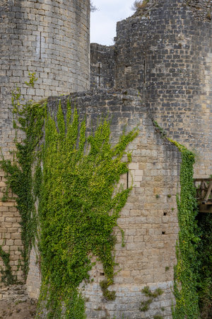 Chateau de Gencay ruins, department Vienne, Franceの写真素材