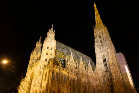 Saint Stephen cathedral in VÃ­enna, at night Austriaの写真素材