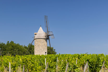 Windmill with vineyard near Montagne, Saint-Emilion wine region, departement Gironde, Franceの写真素材