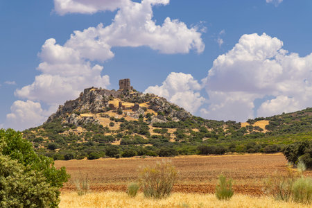 Calatrava la Nueva Castle, a medieval fortress, standing on a hilltop near Aldea del Rey in the region of Castille La Mancha, Spainの写真素材