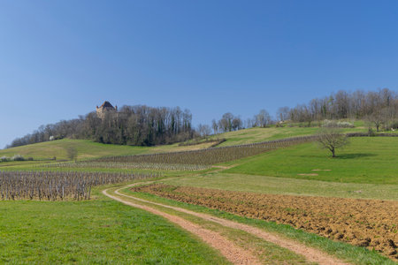 Scenic view of vineyards and plowed fields with a castle in the background in the Jura region of Franceの写真素材
