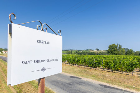 Typical vineyards with information board Grand Cru Classe near Saint-Emilion, Bordeaux, Aquitaine,...