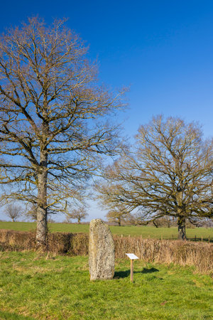 menhirs standing in Couches, Saone et Loire, Bourgogne Franche Comte, Franceの写真素材