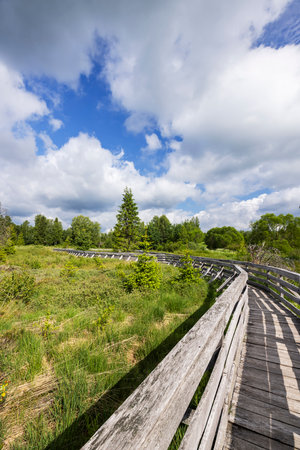 Wooden tourist path crossing the wetlands in Lutowiska, Bieszczady County, Podkarpackie Voivodeship, Poland, on a sunny day with cloudy skyの写真素材