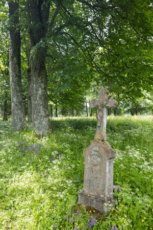 Old stone cross surrounded by wildflowers in Lutowiska, Podkarpackie Voivodeship, Polandの写真素材