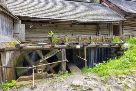 Water powering wooden wheel of traditional slovak watermill near old wooden house in open air museum...